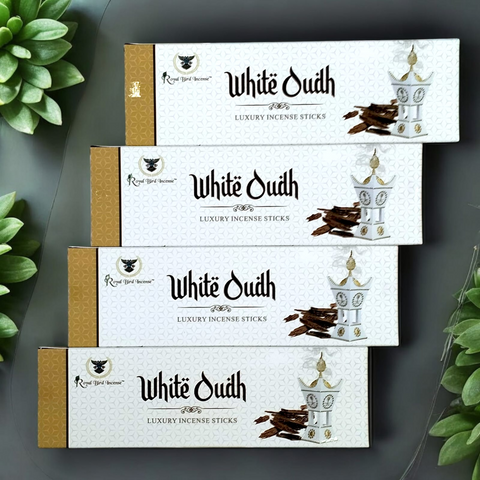 White Oudh Agarbatti - Pack of 4